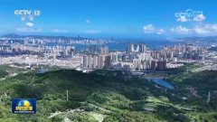 坚定信心 真抓实干 为实现“十五五”良好开局团结奋斗——中央经济工作会议